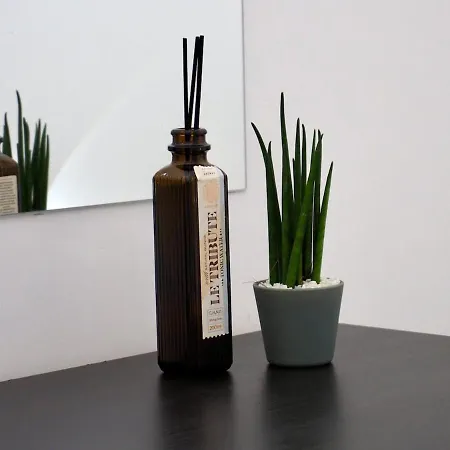 Tamerici Salmastre-montesilvano Appartamento