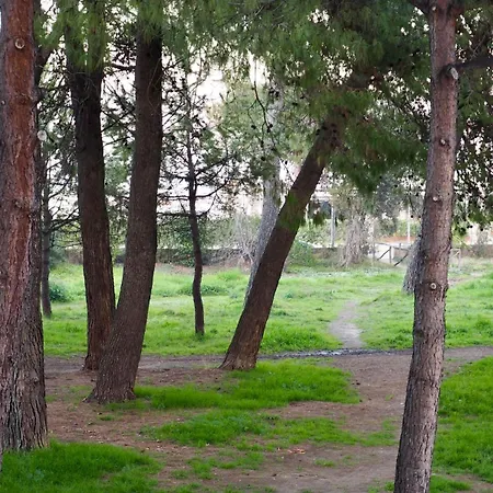 Tamerici Salmastre-montesilvano Appartamento